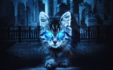 Cat with Glowing Eyes Digital Art HD Wallpaper
