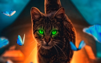 Cat's Magical Walk Digital Art HD Wallpaper