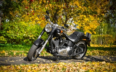 Harley Davidson Motorcycle 2 HD Wallpaper