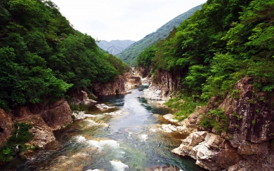 Nikko National Park Japanese 2024 HD Wallpaper