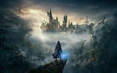 Video Game Hogwarts Legacy Harry Potter HD wallpaper