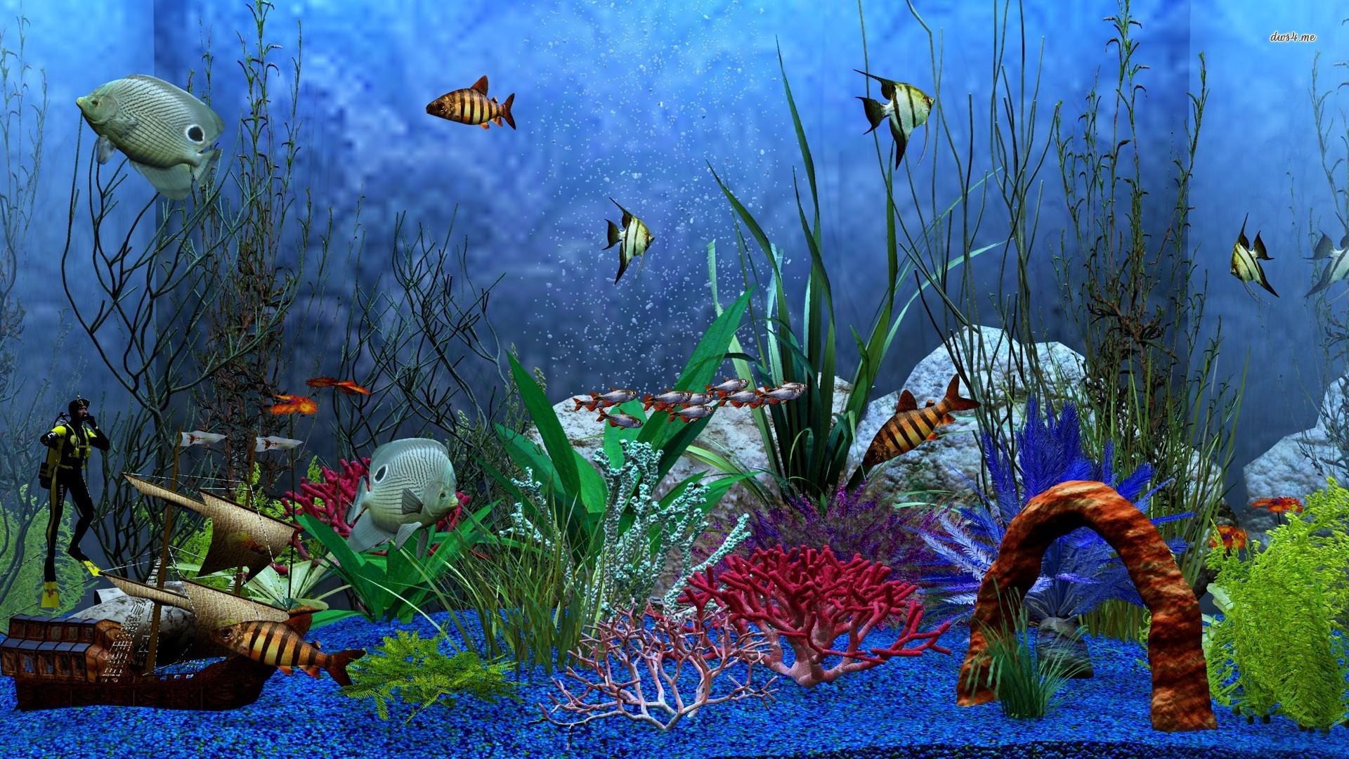 Download Fish Tank iPhone X HD 4K Android Mobile Free Wallpaper -  