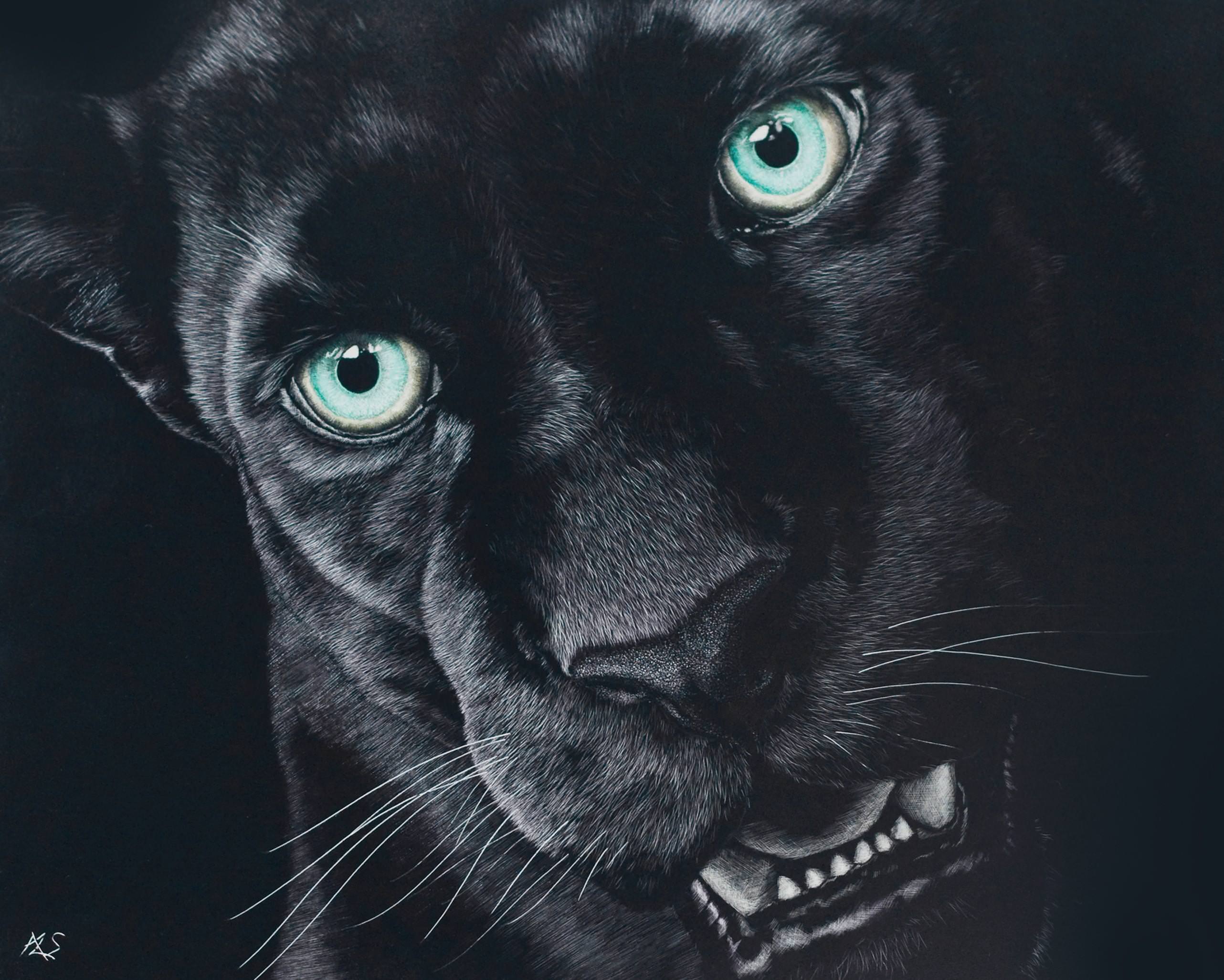 Black Jaguar Wallpaper 62 pictures
