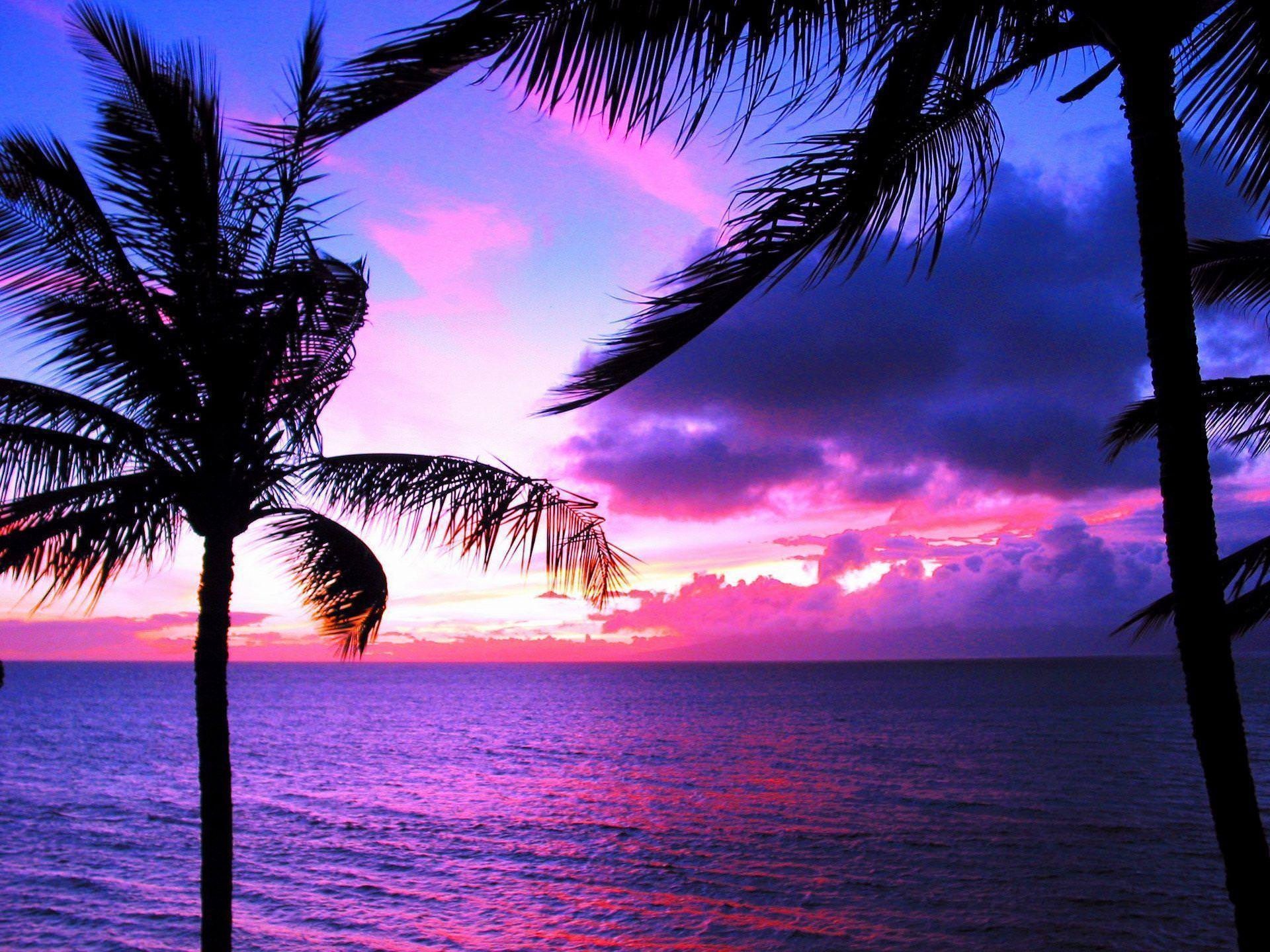Wallpaper ID 302026  Earth Ocean Phone Wallpaper Sea Horizon Hawaii  Sunset 1440x3216 free download