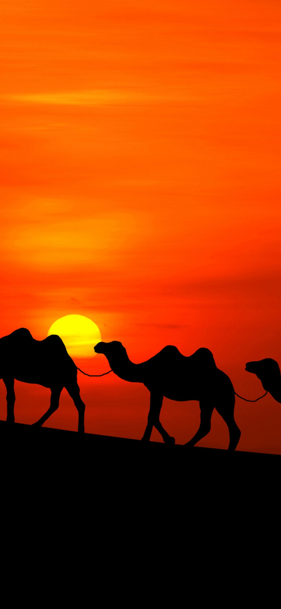 Download Camel iPhone Wallpaper Free To Download Original In 4K ...