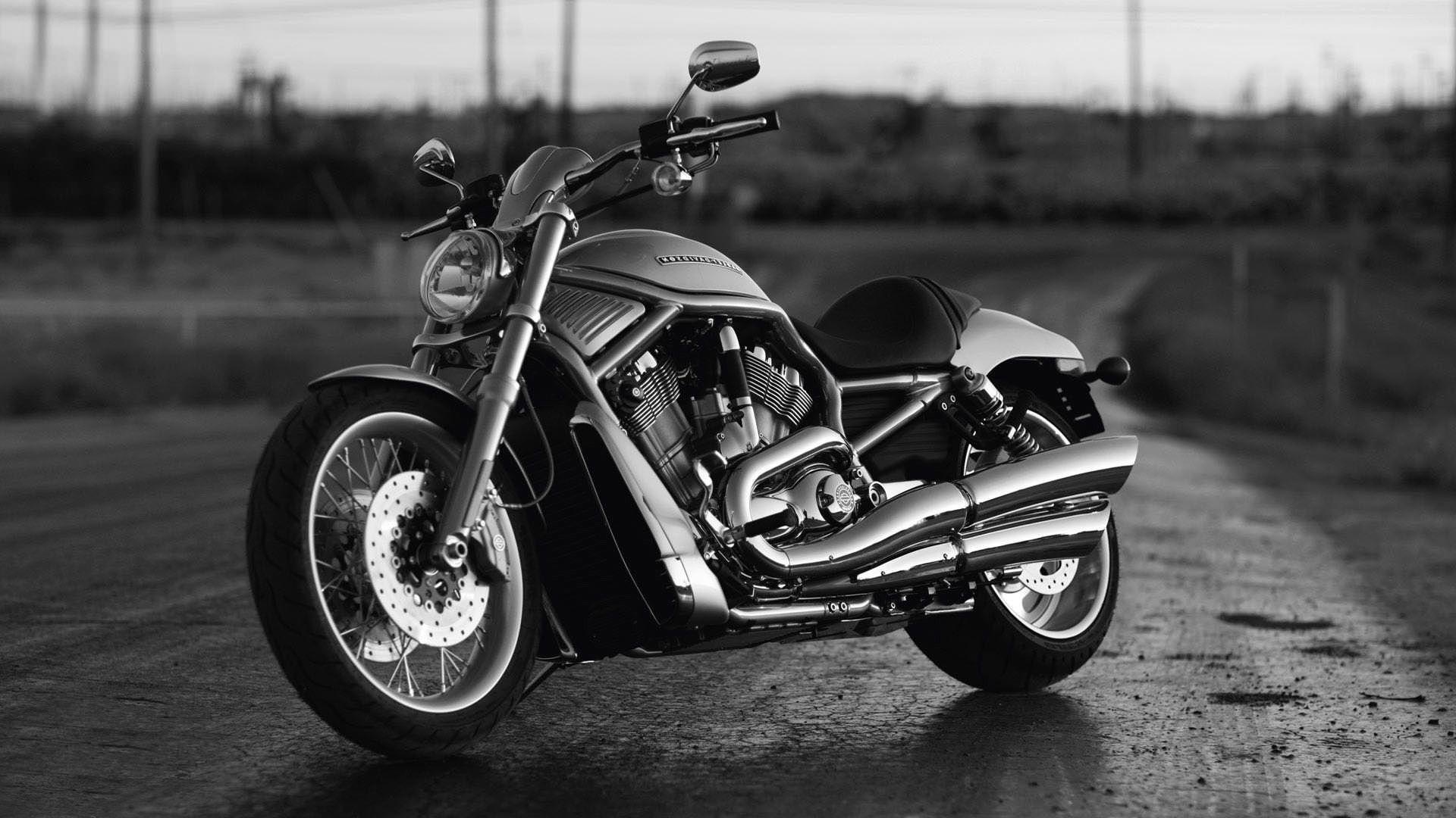 Download Harley Davidson 4K 5K 8K Backgrounds For Desktop And Mobile  Wallpaper 