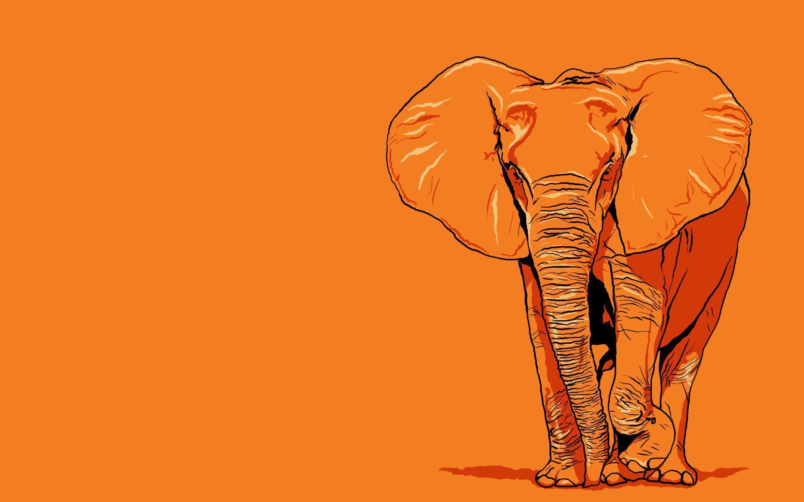Download Elephant Download Best 4K Pictures Images Backgrounds Wallpaper -  
