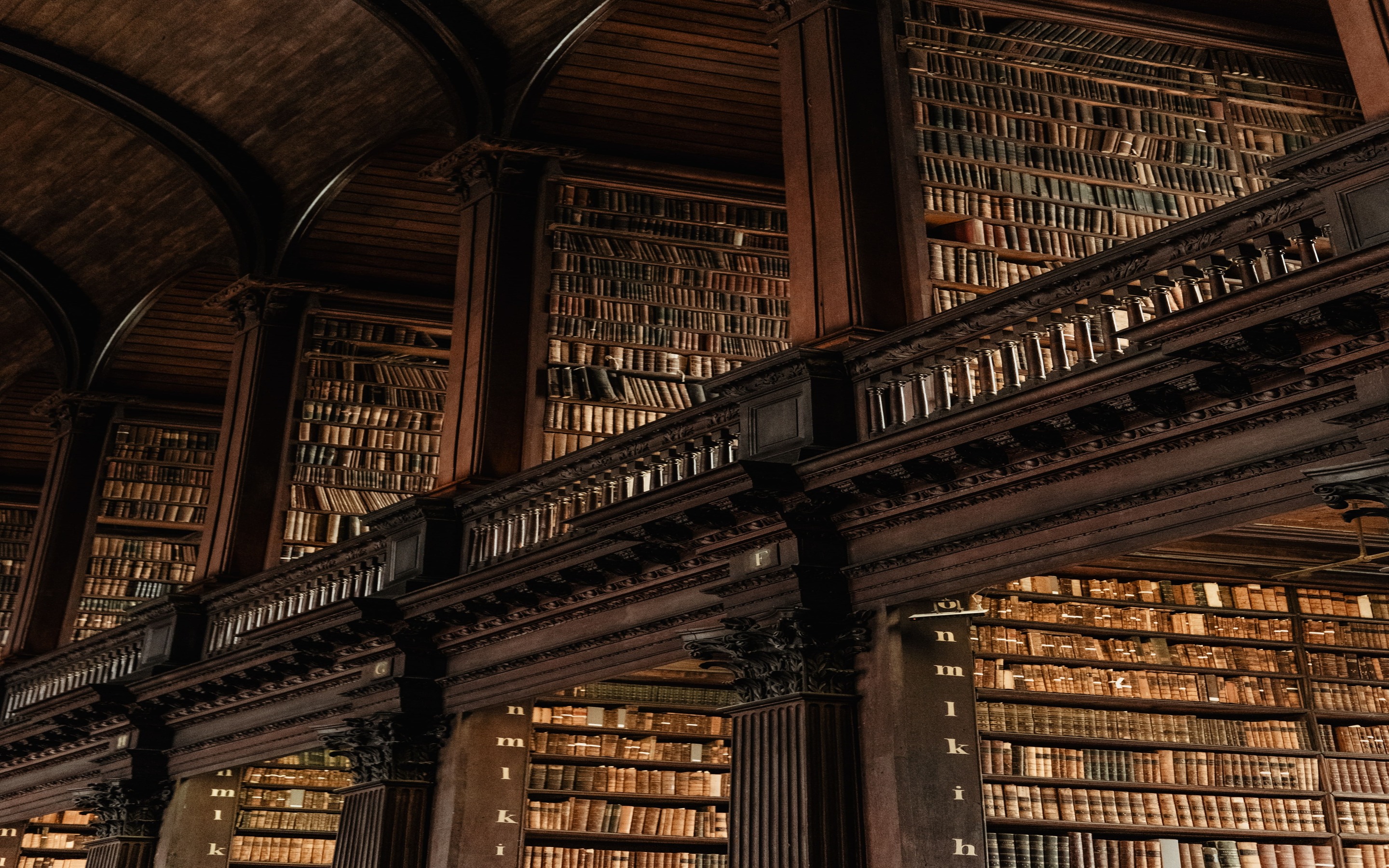 Library Dark Academia Aesthetic Wallpaper  Library Wallpapers 4k