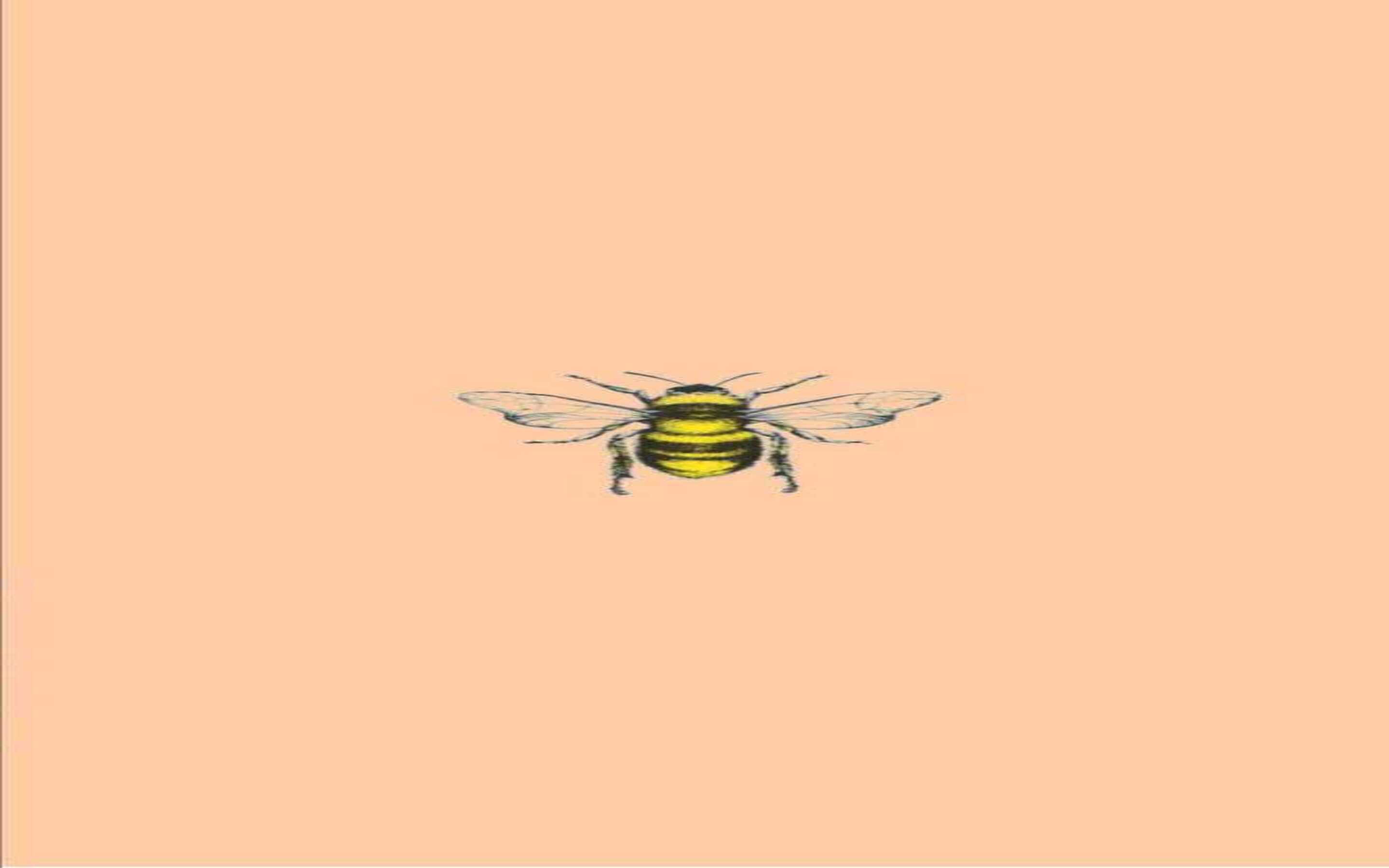 Download Aesthetic Profile Bees Wallpaper  Wallpaperscom