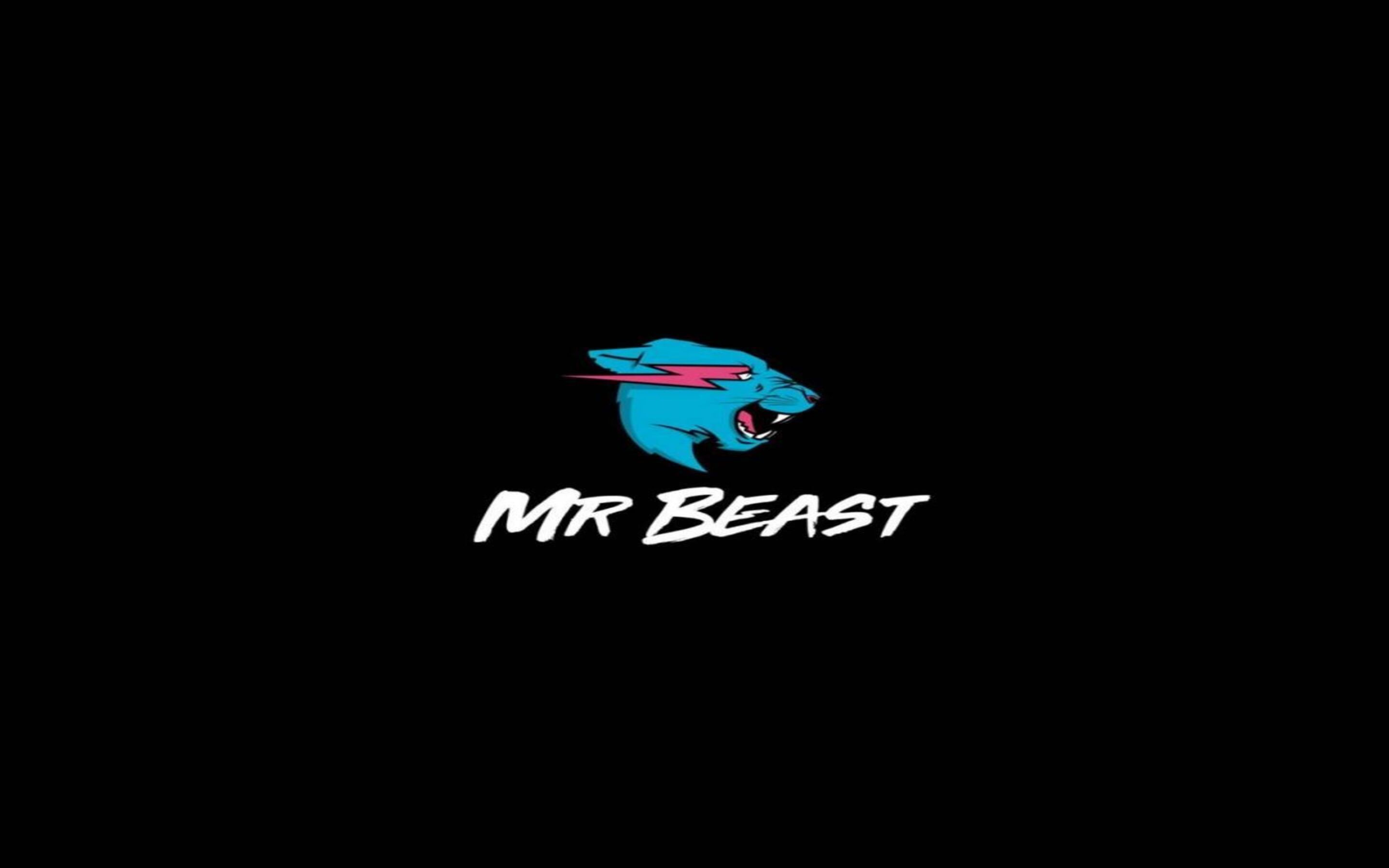 Download Mr Beast 4K HD Wallpaper 