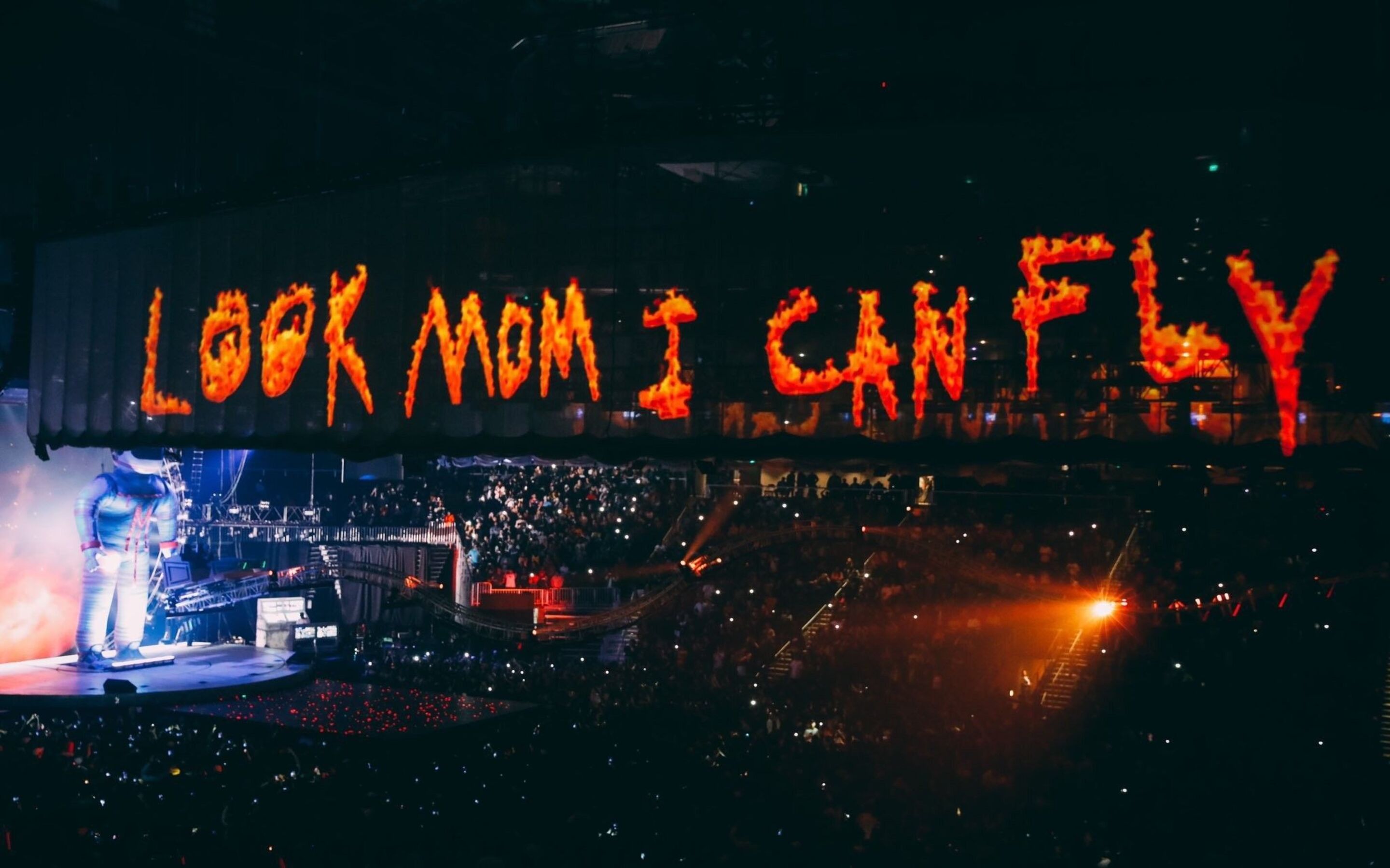 Look mom i can fly HD wallpapers  Pxfuel